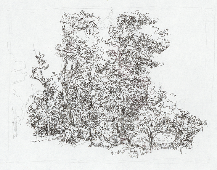 Zeichnung Wald Tegna